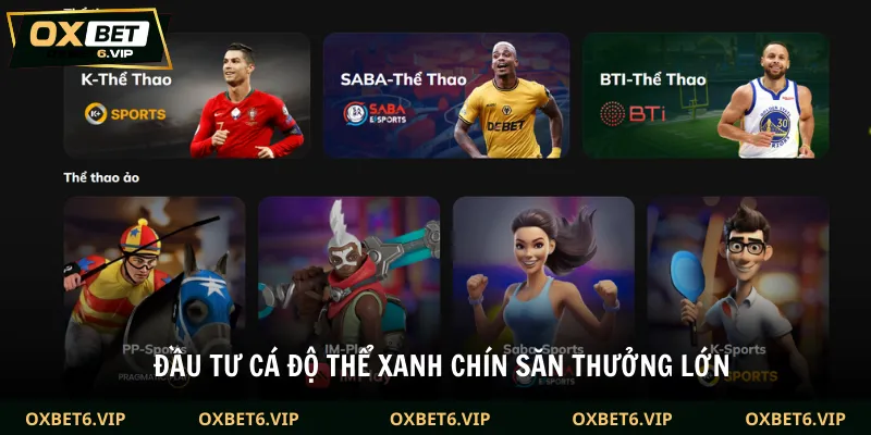 Đầu tư cá độ thể xanh chín săn thưởng lớn